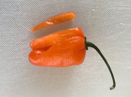 habanero